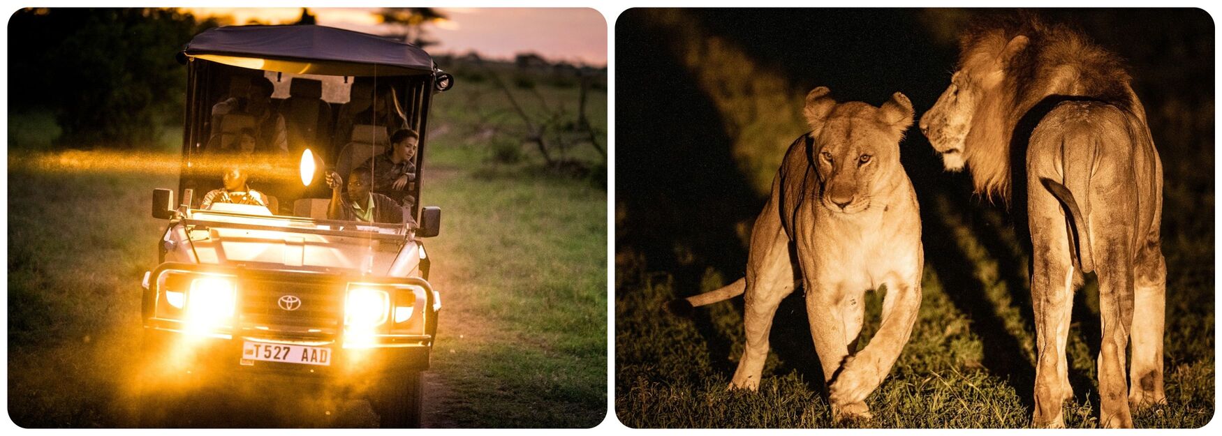 Afrique safari 4X4 nuit