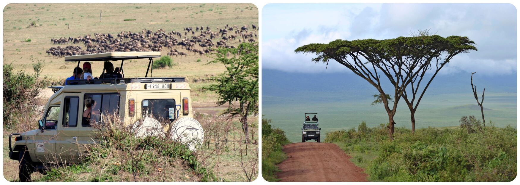 Afrique safari 4X4