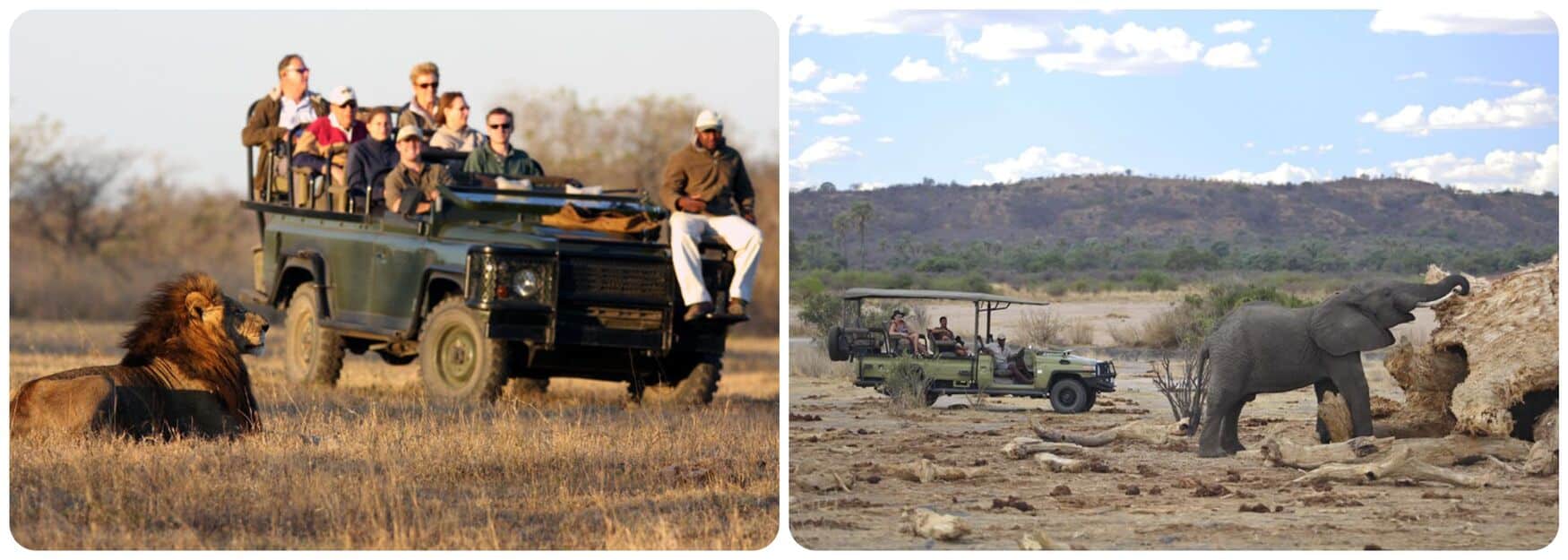 Safari 4X4 Afrique