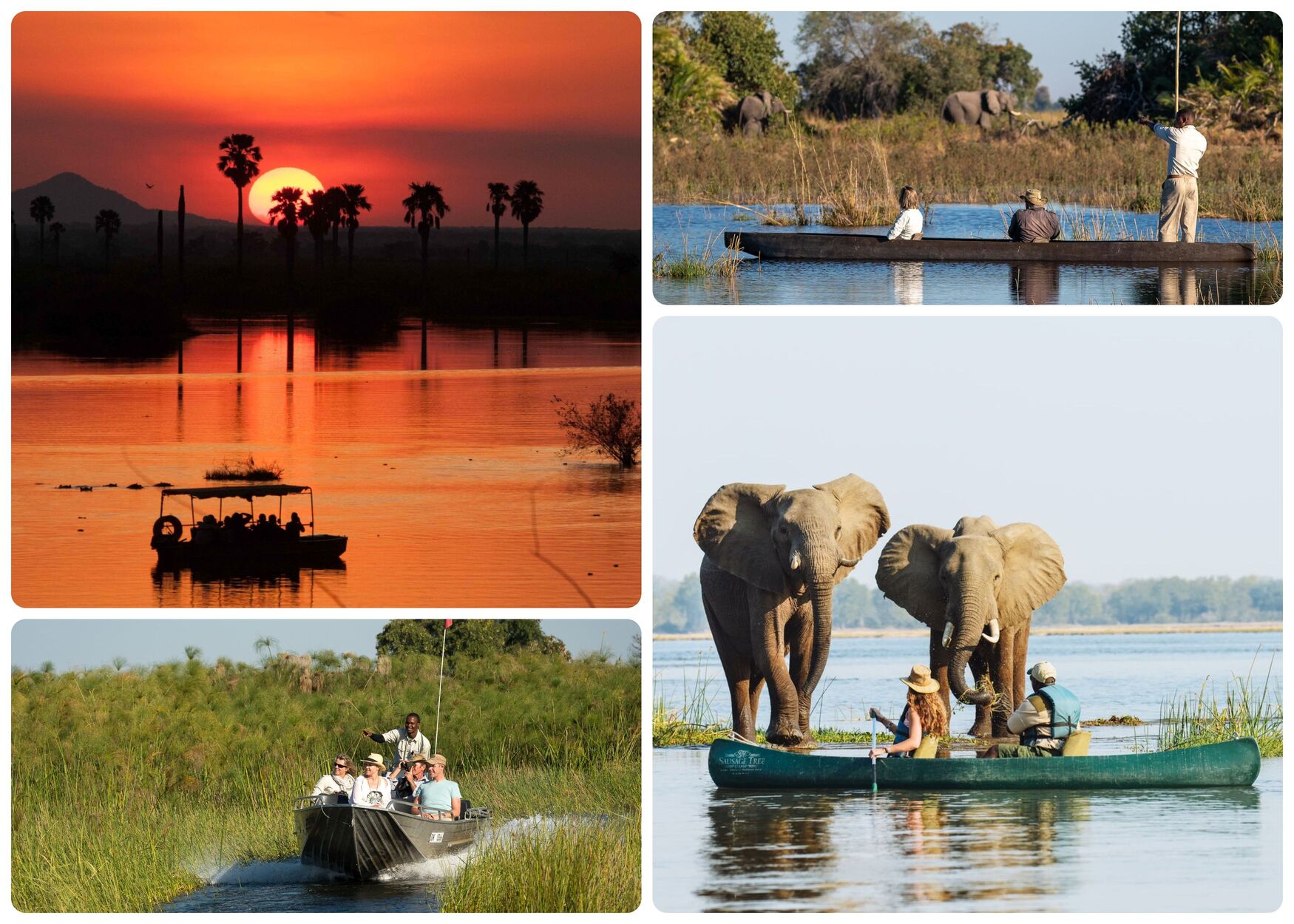 Safari Afrique canoe bateau mokoro