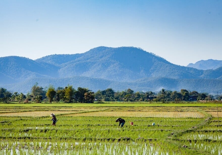 Escapade Chiang Rai Phrao Chiang Mai nord Thailande