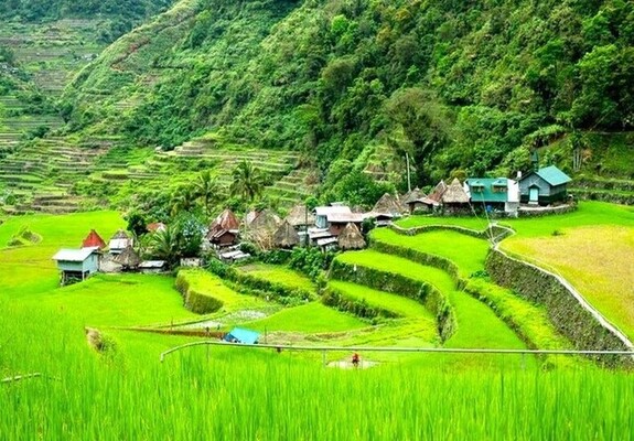 Philippines Banaue Batad Ifugao rizieres terrasse