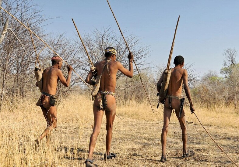 botswana kalahari bushmen san