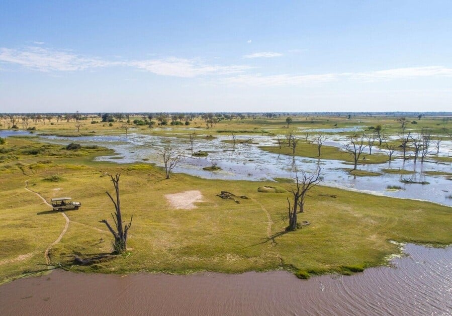 safari botswana moremi tongue