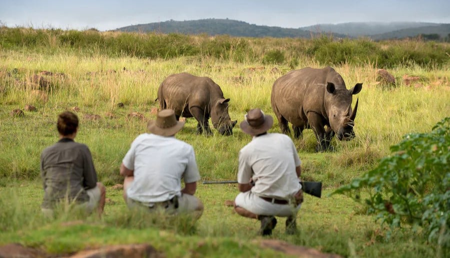 3 mhondoro lodge waterberg south africa timbuktu travel