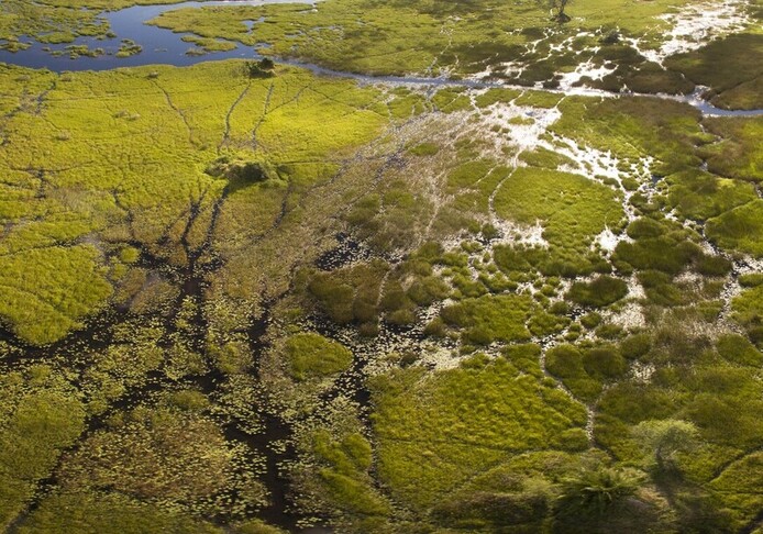 Botswana delta Okavango