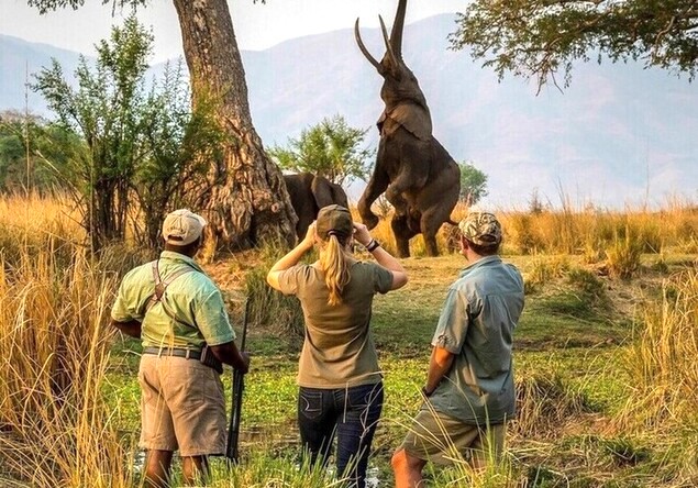 Safari Zimbabwe Hwange