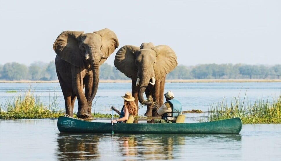 Safari canoe Botswana Okavango 1