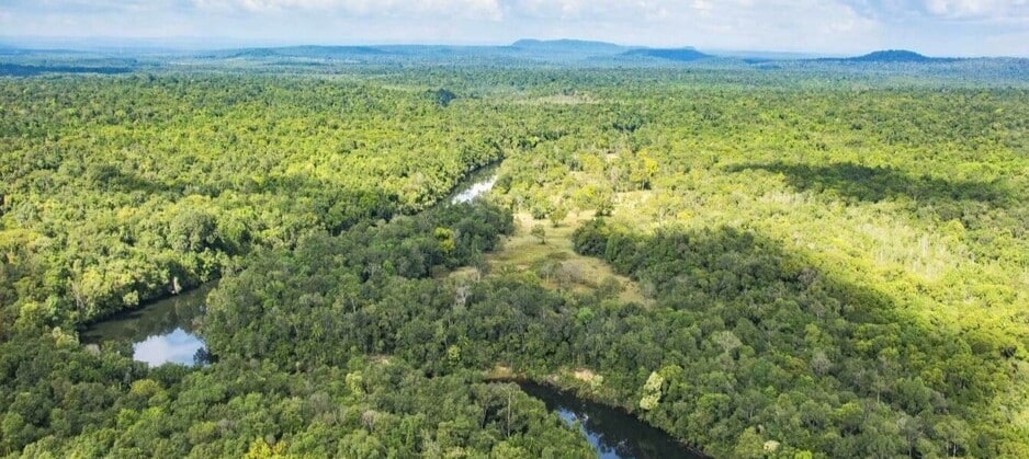 Vue aérienne sur la forêt qui bordent les montagnes des Cardamomes au sud-ouest du Cambodge