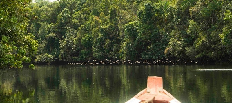 Naviguation en bateau sur la rivière des Cardamomes