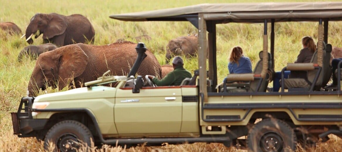 Safari en 4X4 dans les marais de Silale avec l'équipe du Oliver's Camp