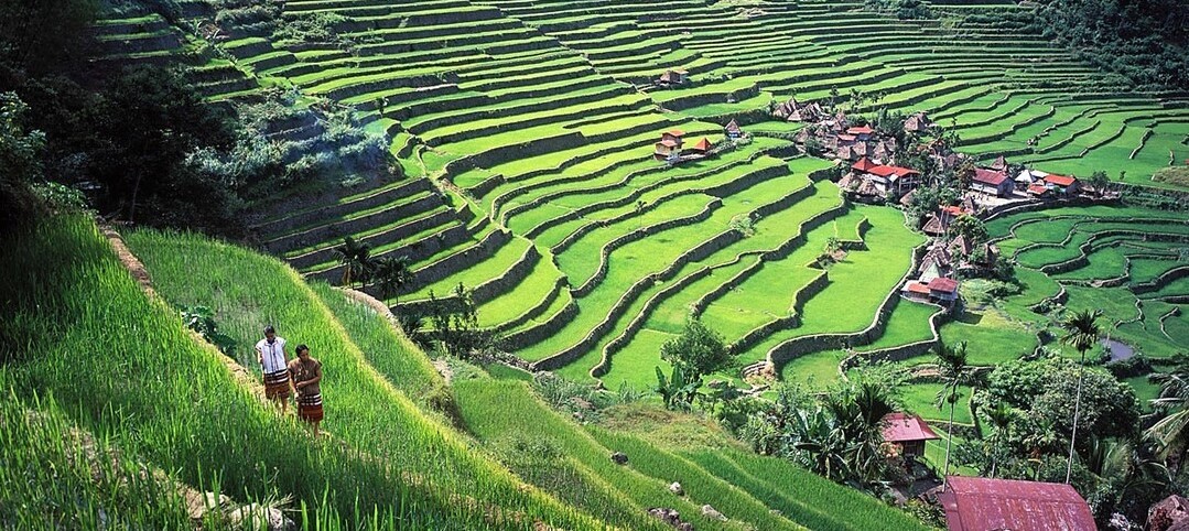 Rencontre lors d'un trek dans les rizières de Banaue