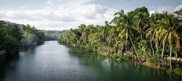 Rives de la rivière Loboc dans le centre de Bohol