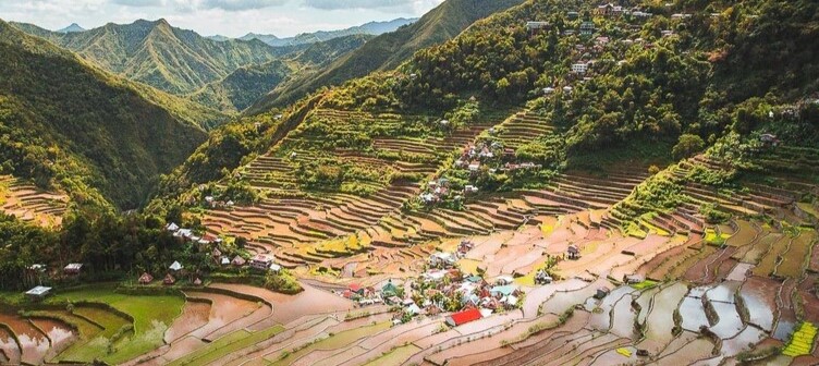 Rizières en amphithéatre dans la région de Banaue aux Philippines