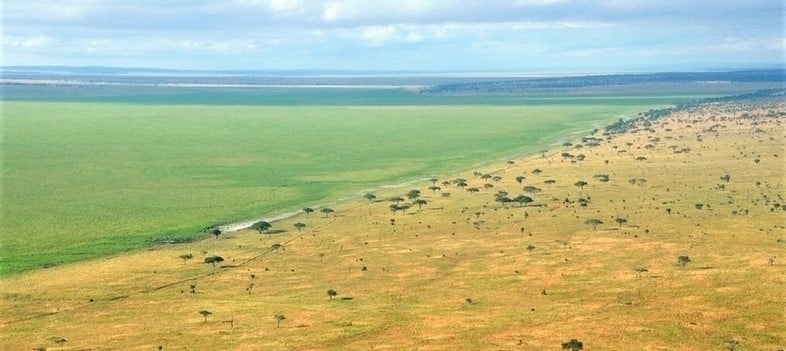 Vue aérienne sur les marais de Silale dans le parc national du Tarangire en Tanzanie