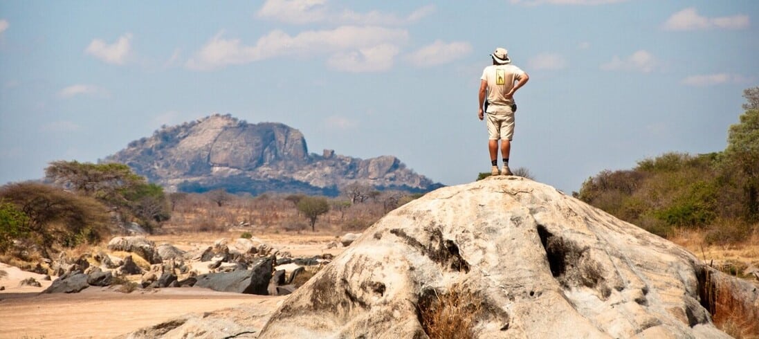 Le parc de Ruaha à découvrir en safari à pied grâce a des guides expérimentés