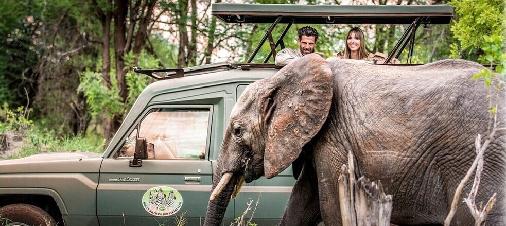 Safari en 4X4 dans le parc du Tarangire en Tanzanie