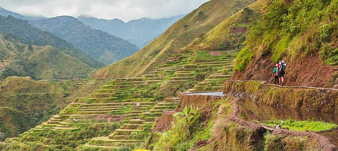 Randonnée sur les sentiers qui longent les rizières en terrasse de Banaue