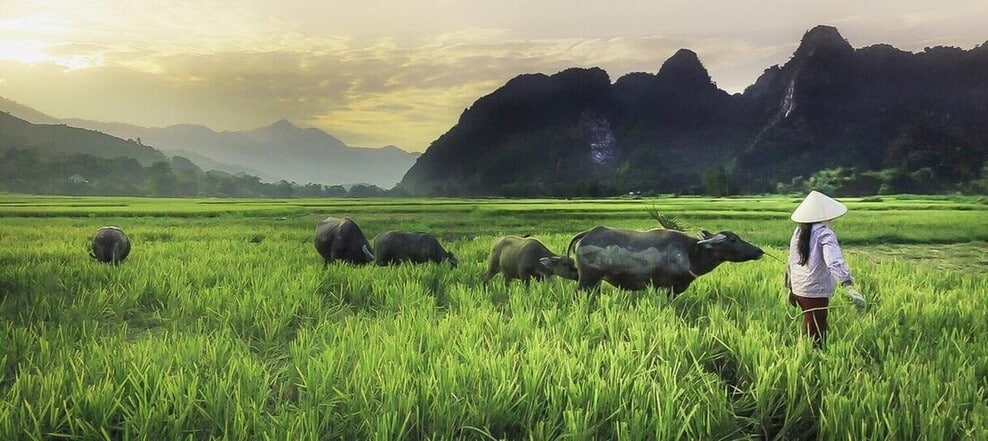 Scène de vie dans les campagnes de la région de Vang Vieng