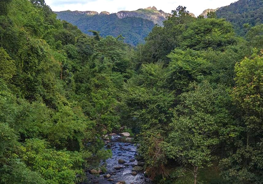 NamKat Laos