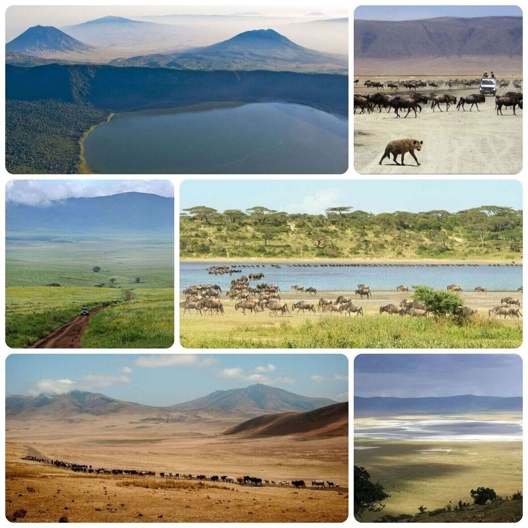 Zone de conservation du Ngorongoro